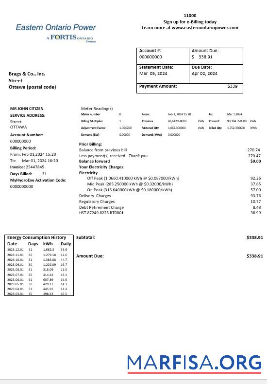 Realistic Canada Eastern Ontario Power business utility bill template in Word and pdf formats